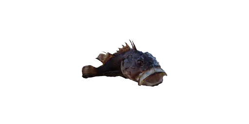 Шипастый ёрш