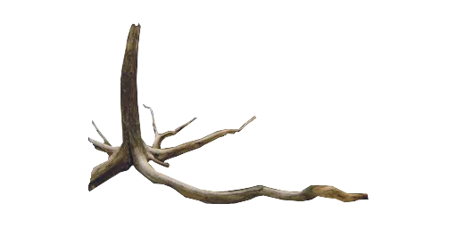 Коряга
