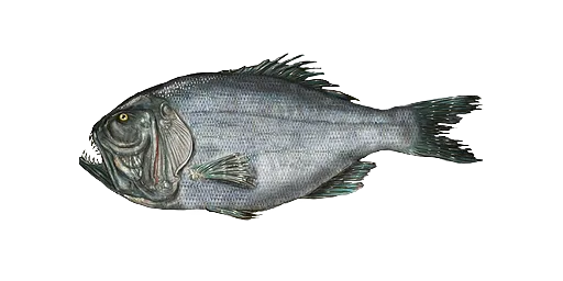 Гуарий