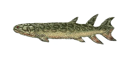 Балум