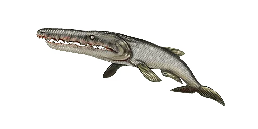 Цунами