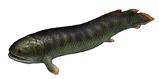 Индир
