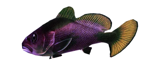 Ерла