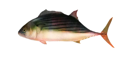 Лейма