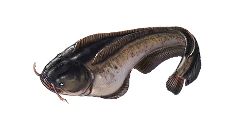 Зариса