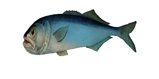 Мкулат