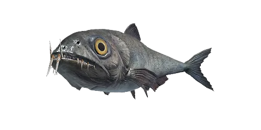 Энчодус