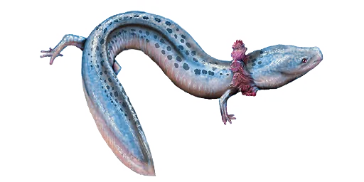 Ледяной олм